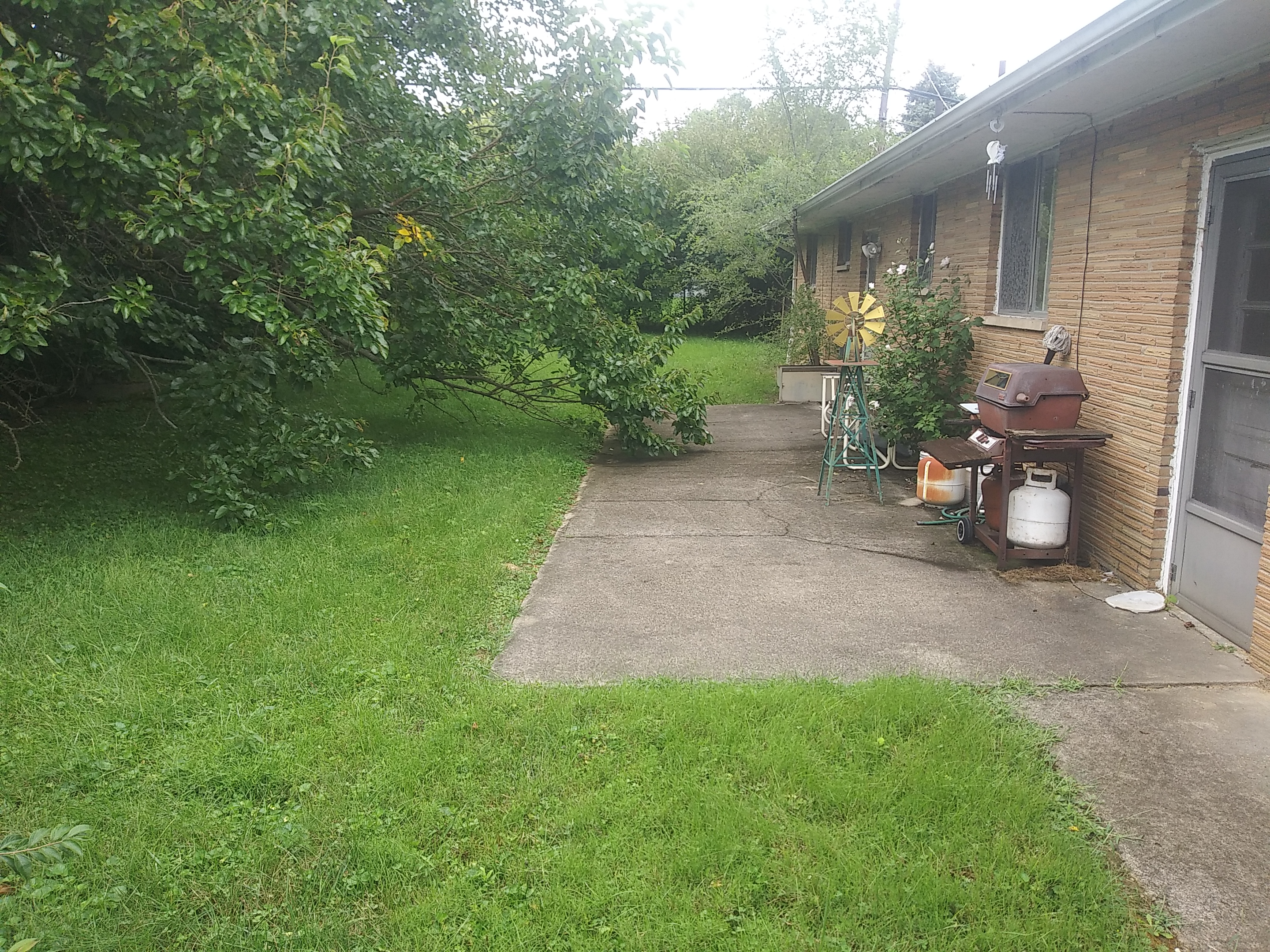 20190831_151459.jpg &