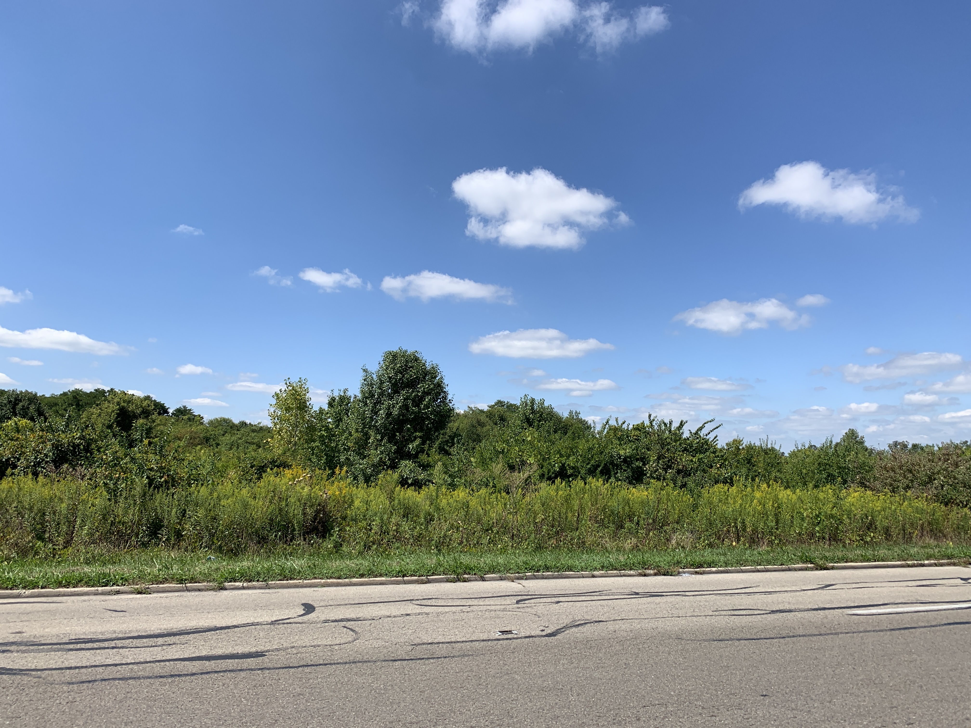 Ohio Private Selling Officer (PSO) 18 Acres Shiloh Springs Road