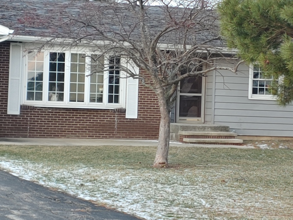 Ohio Private Selling Officer (PSO) ***REDEEMED BY DEFENDANT/SALE