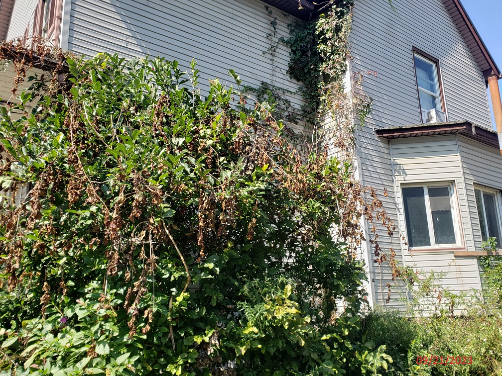 Ohio Private Selling Officer (PSO) ***PLAINTIFF CANCELLED SALE*** 409