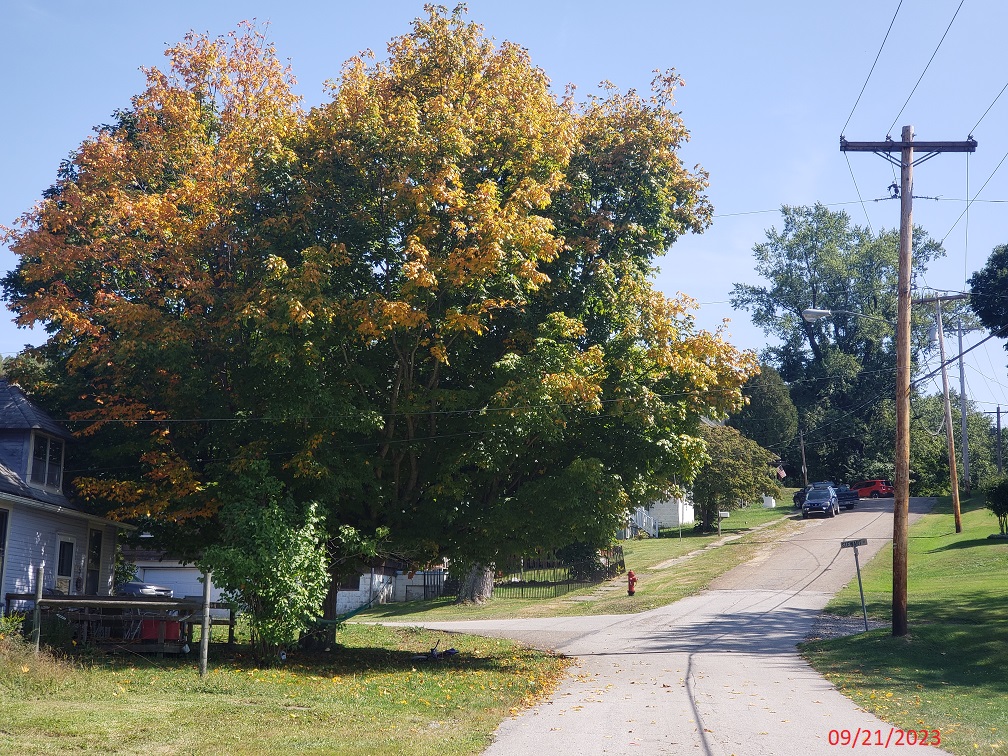 Ohio Private Selling Officer (PSO) ***PLAINTIFF CANCELLED SALE*** 409